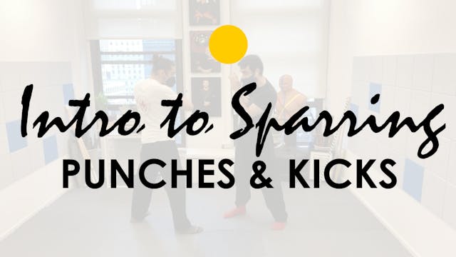 INTRO TO SPARRING: PUNCHES AND KICKS