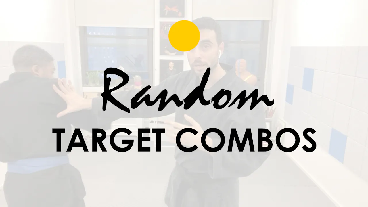 RANDOM TARGET COMBINATIONS - KAJUKENBO ONLINE TRAINING