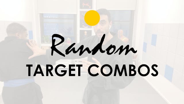 RANDOM TARGET COMBINATIONS