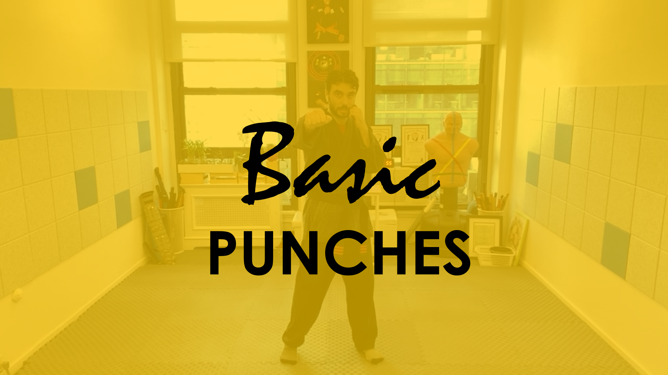 BASIC PUNCHES