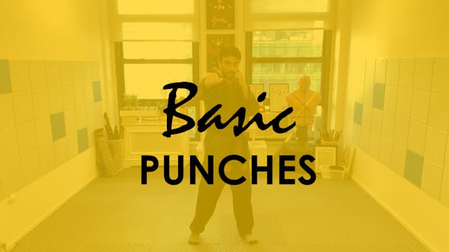 BASIC PUNCHES