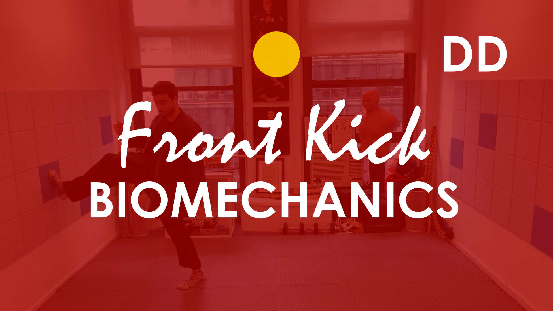 DEEP DIVE. FRONT KICKS. BIOMECHANICS AND EXERCISES.