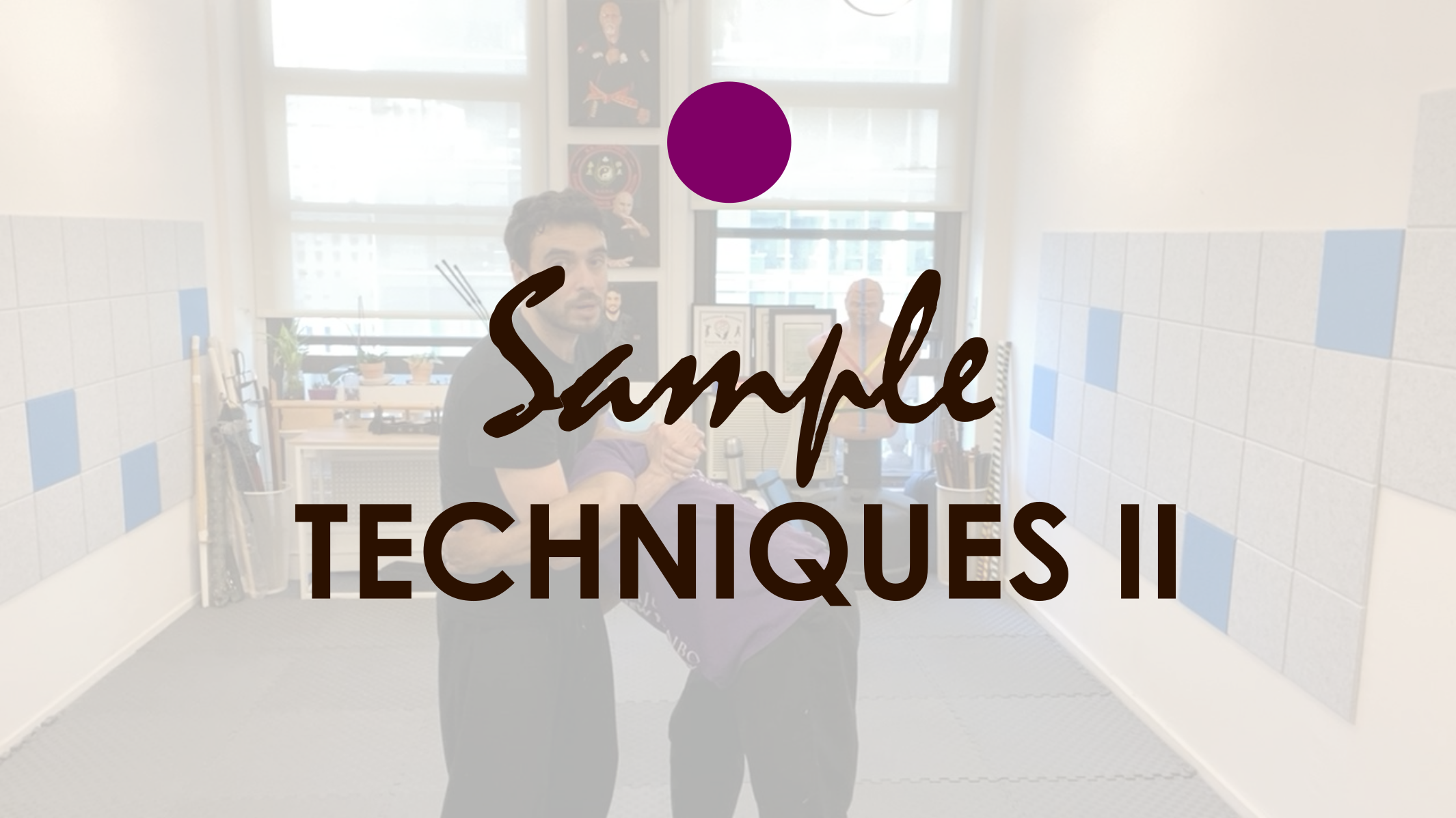 SAMPLE TECHNIQUES II