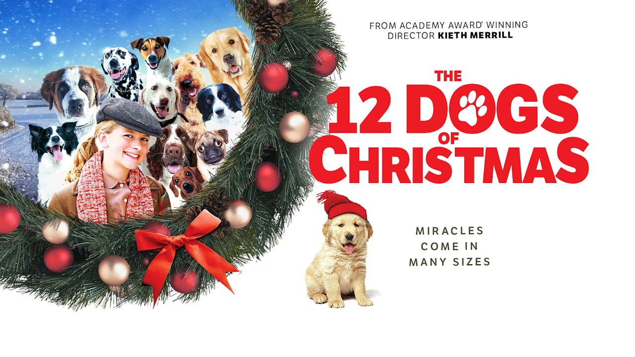 12 Dogs of Christmas 12 Dogs of Christmas Icon Film Channel 12 Dogs Of Christmas