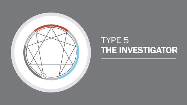 Type 5: The Investigator