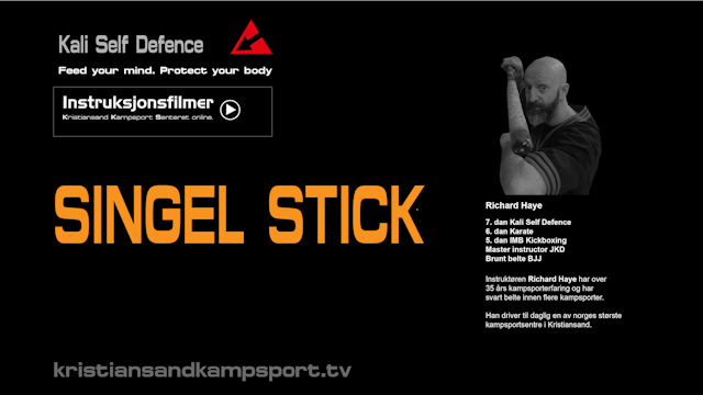 Singel-stick-2020.pdf