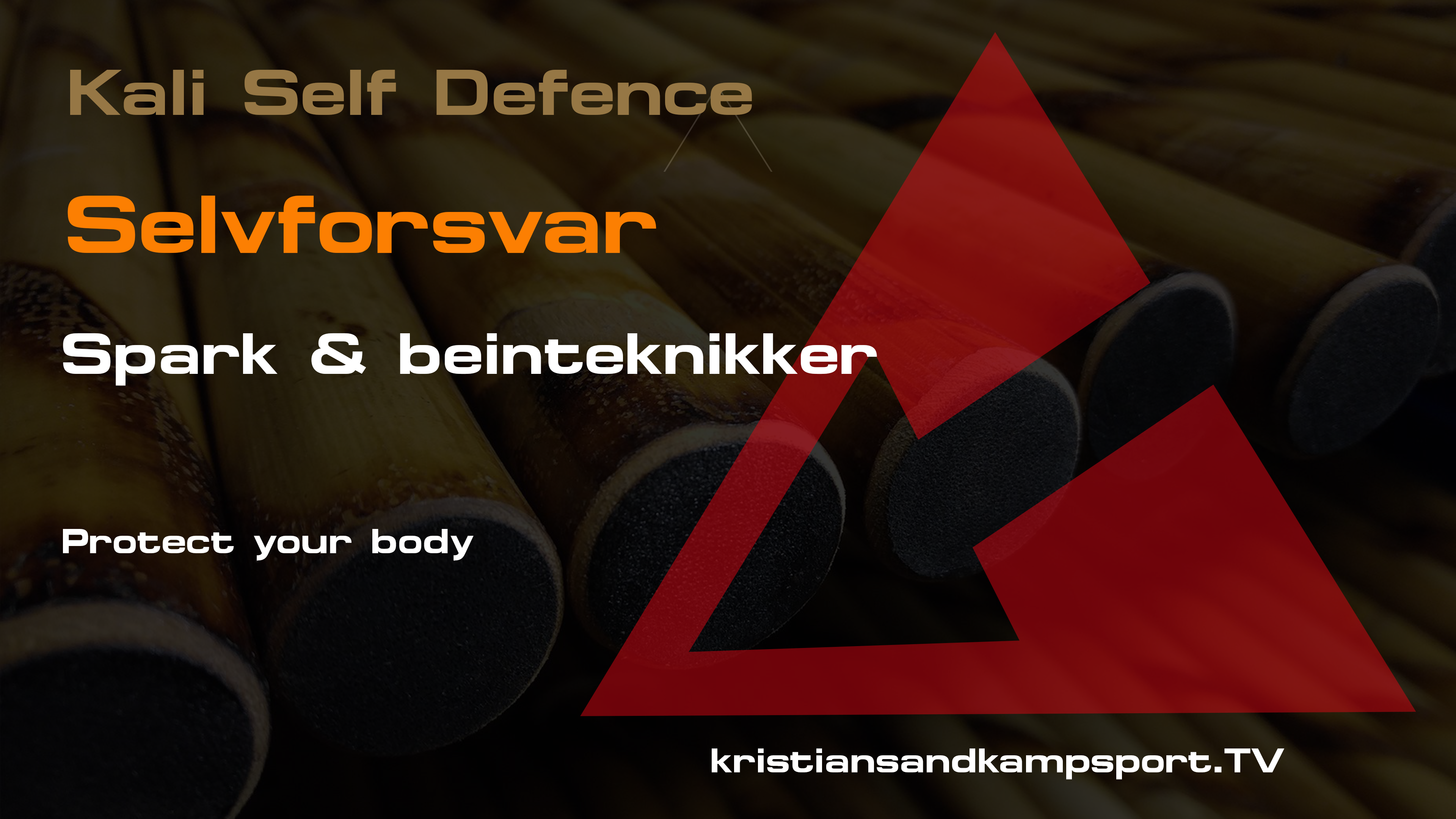 Selvforsvar spark og beinteknikker