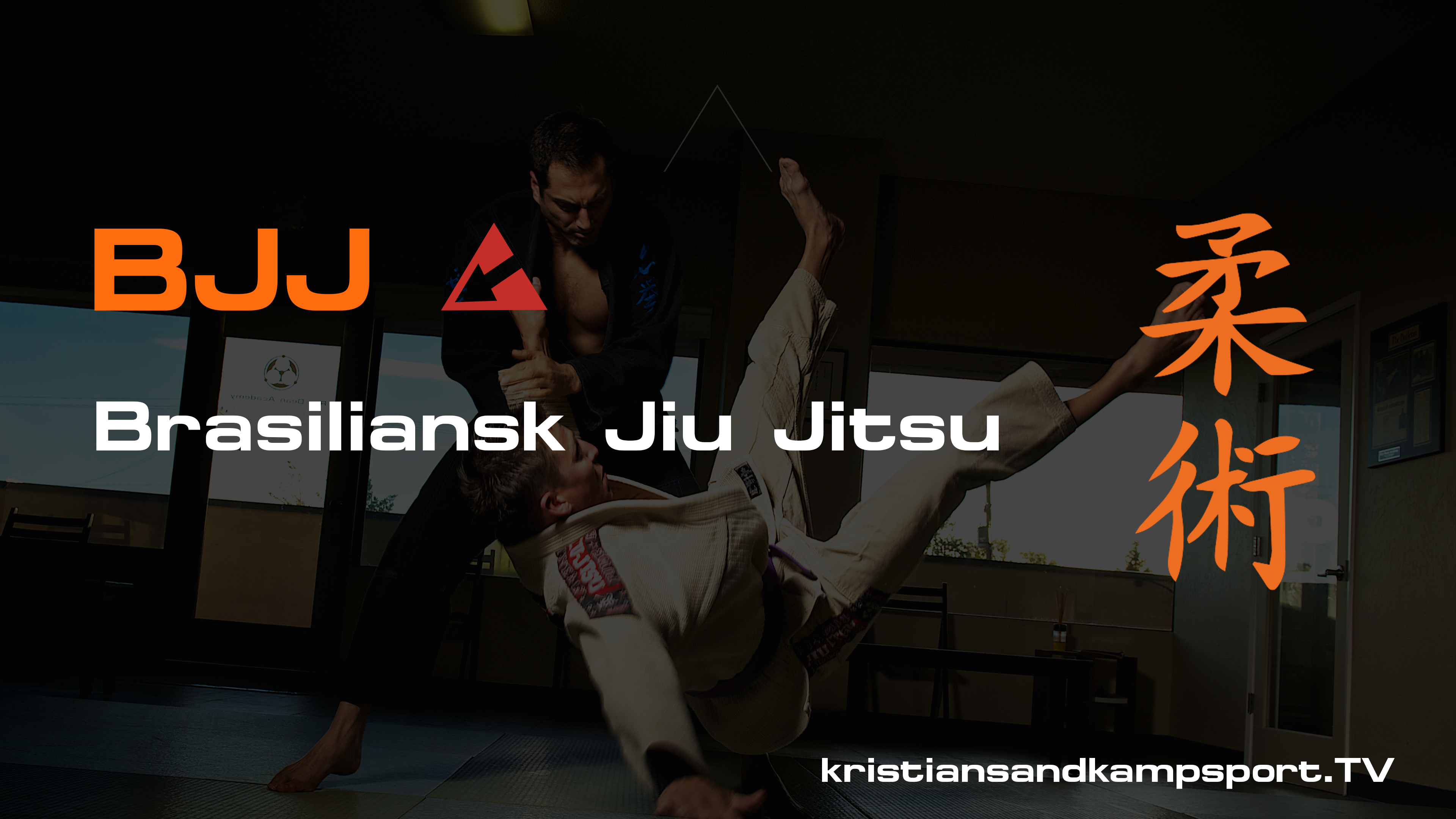 Blue Belt Requirements