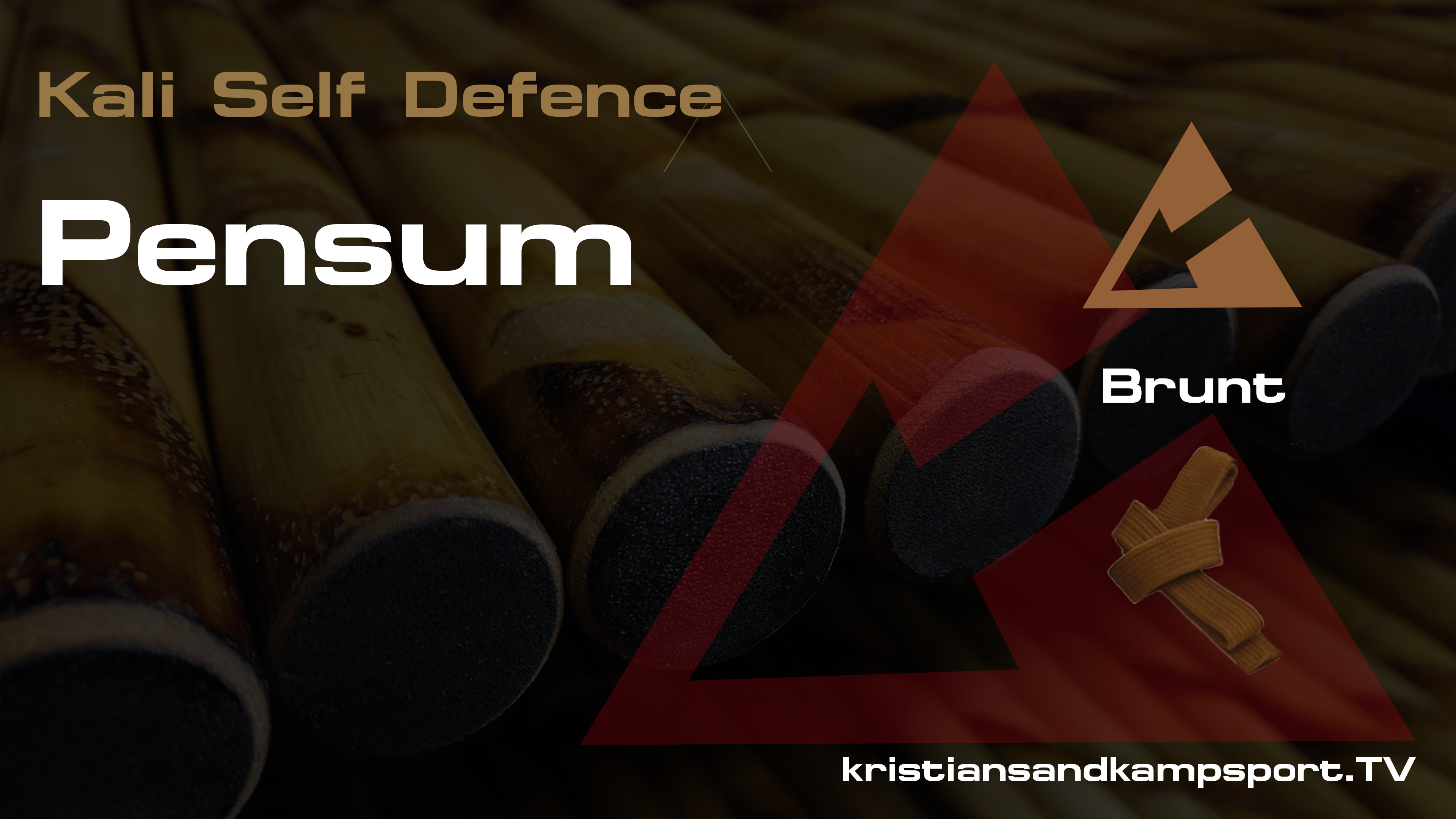 Kali Self Defence- Pensum- Brunt