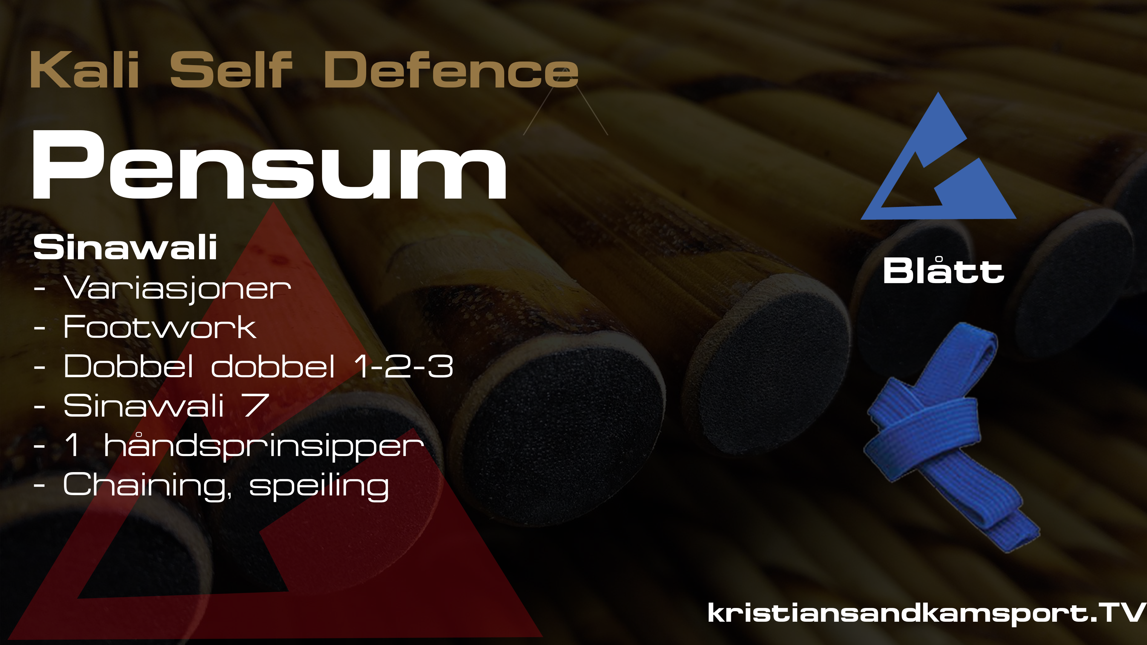 Kali Self Defence - Dobbelsticks-  Pensum Blått