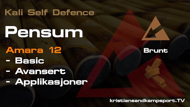 Kali Self Defence - Pensum- Brunt- Amara 12 