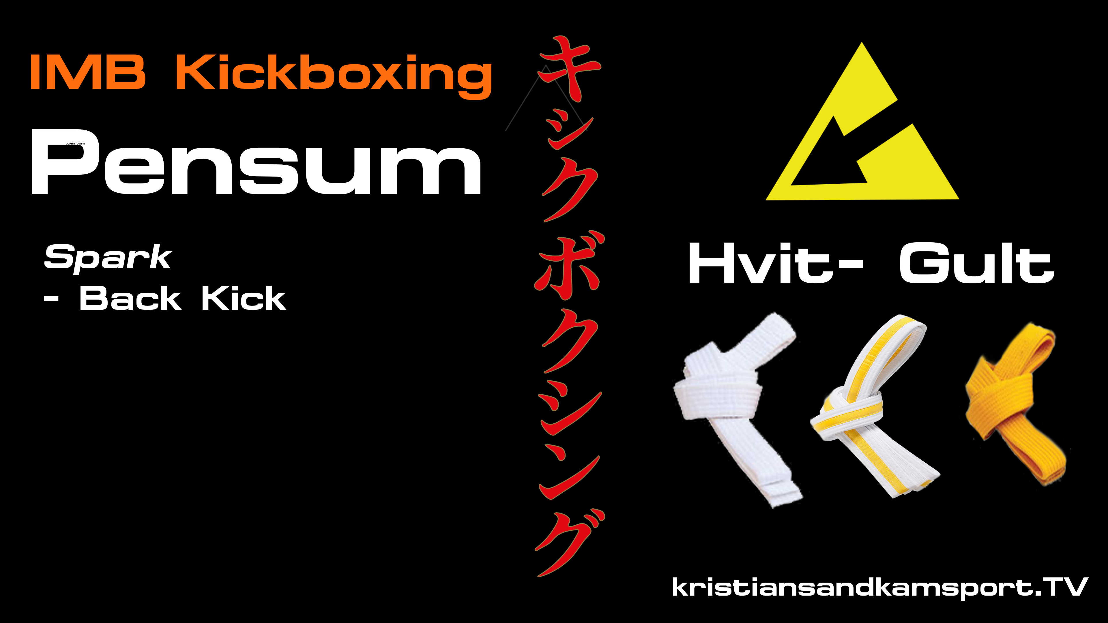 Kickboxing- Pensum Back Kick