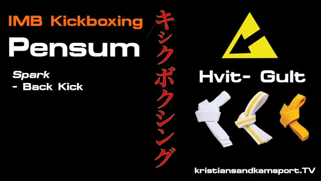 Kickboxing- Pensum Back Kick