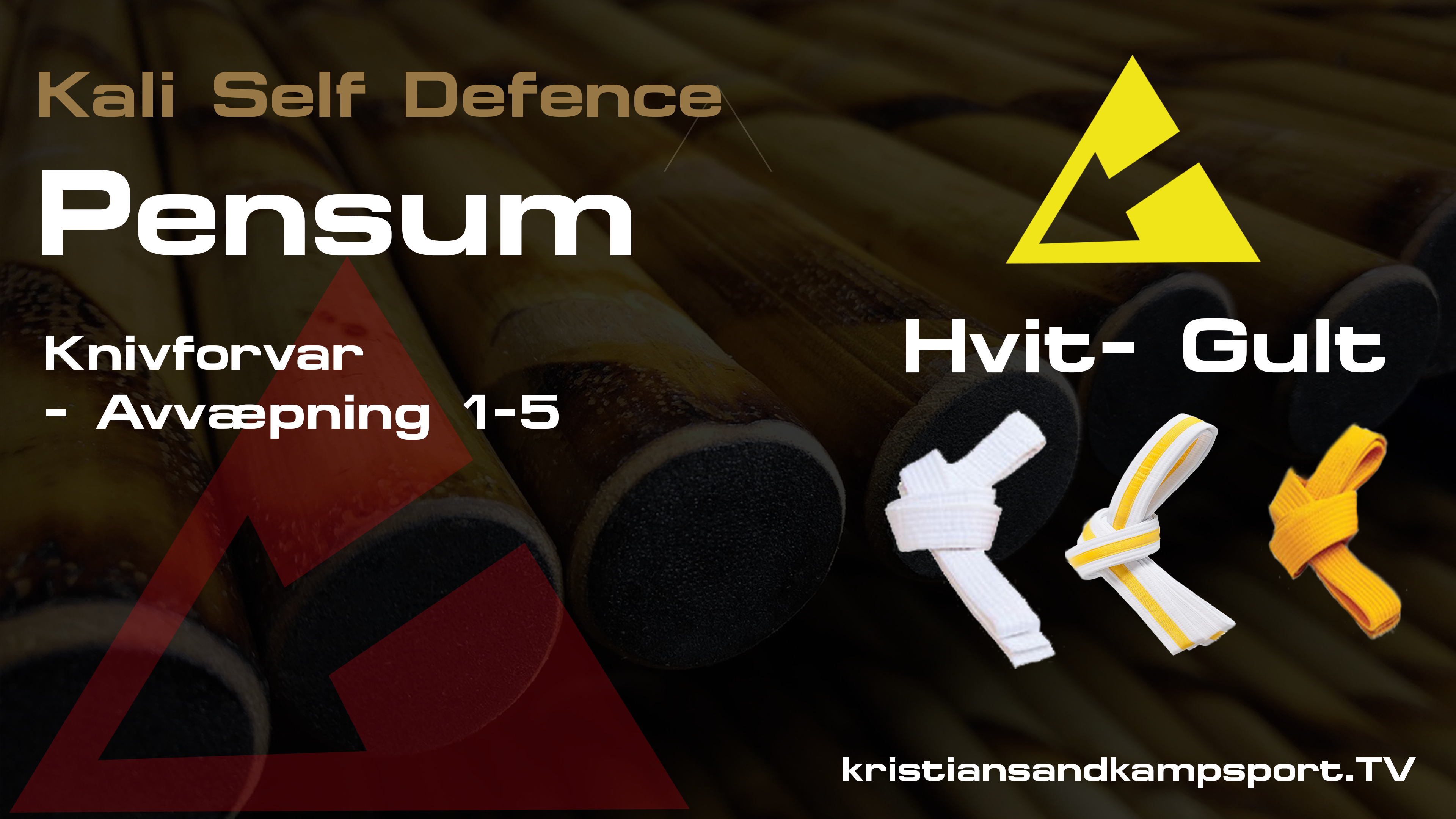 Kali Knivavæpning 1-5 Basic