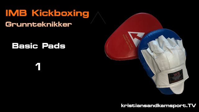 Kickboxing basic pads 1