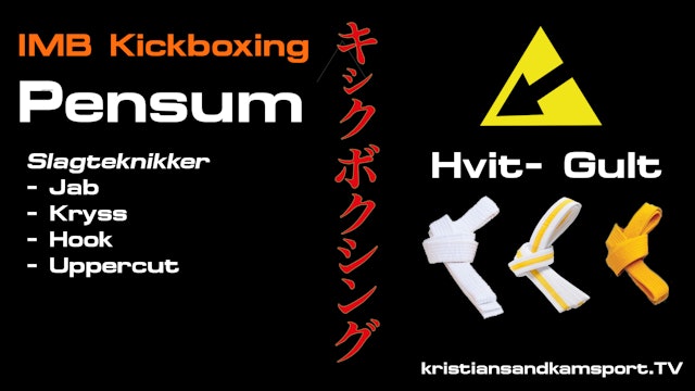 Kickboxing- Pensum Slagteknikker