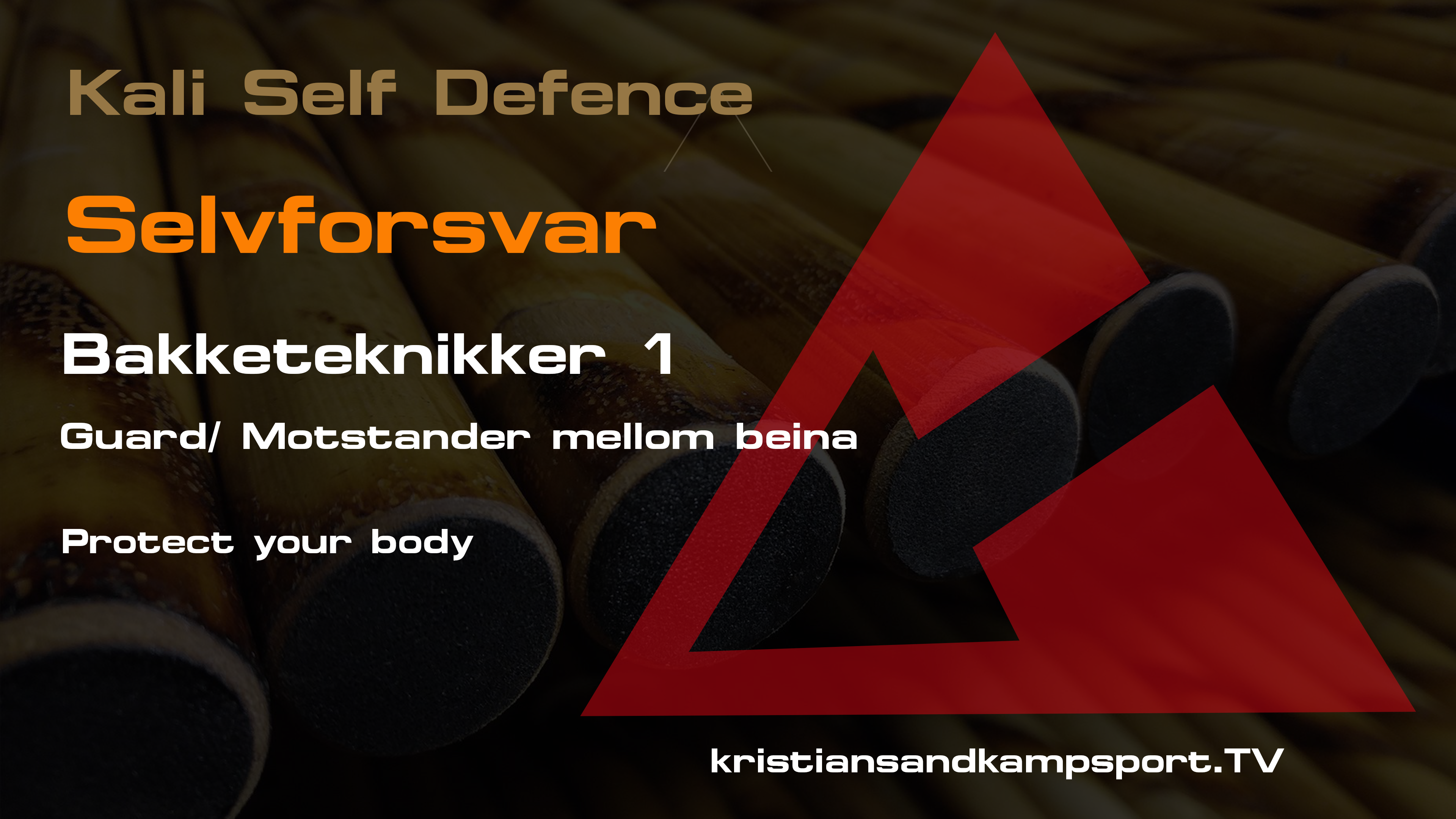 Selvforsvar på bakken 1- Guard