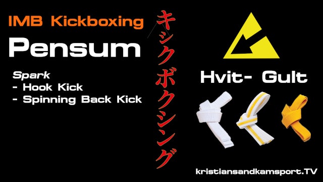 Pensum- Hook Kick & Spinning Back Kick