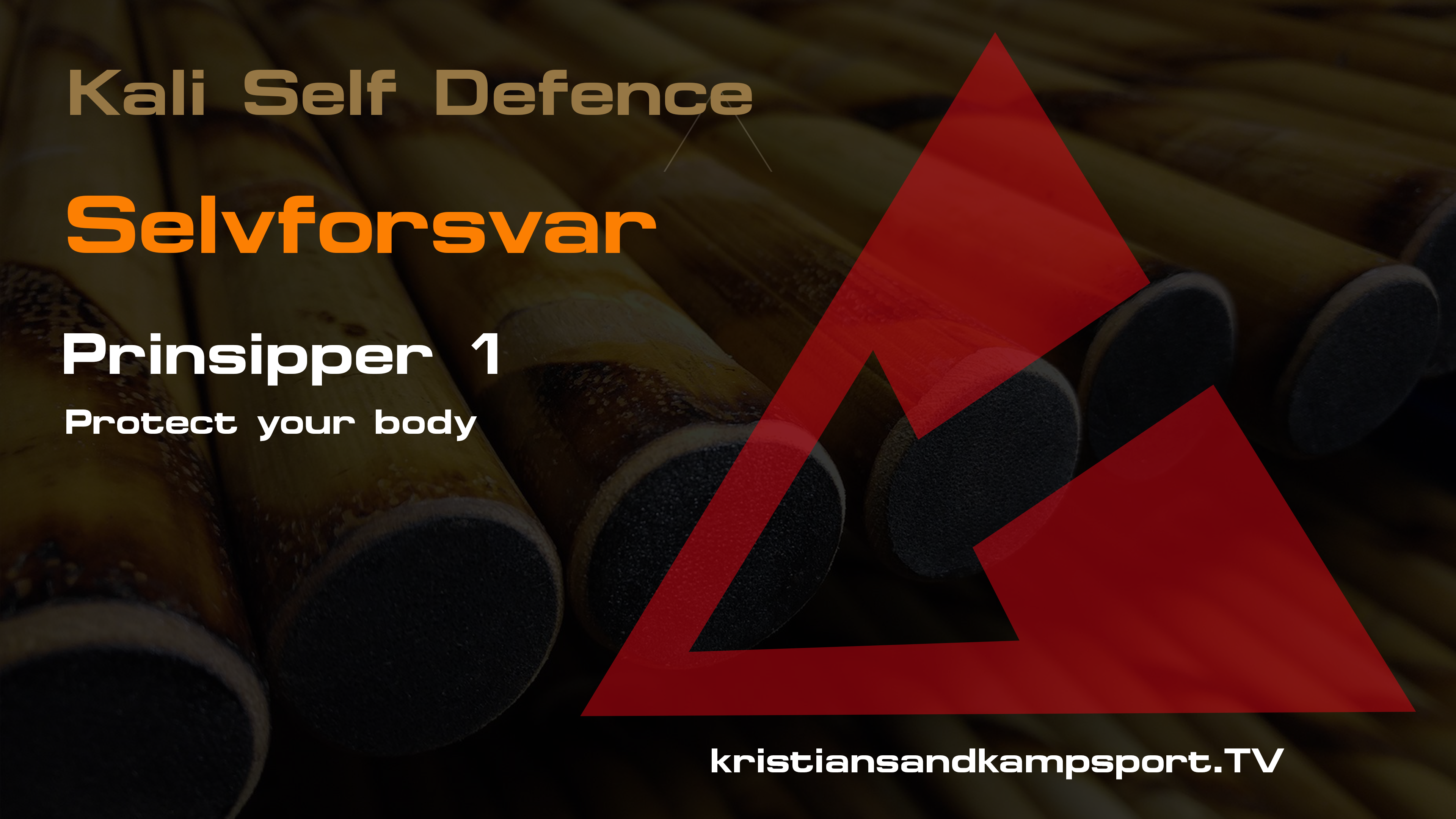 Selvforsvar- prinsipper 1