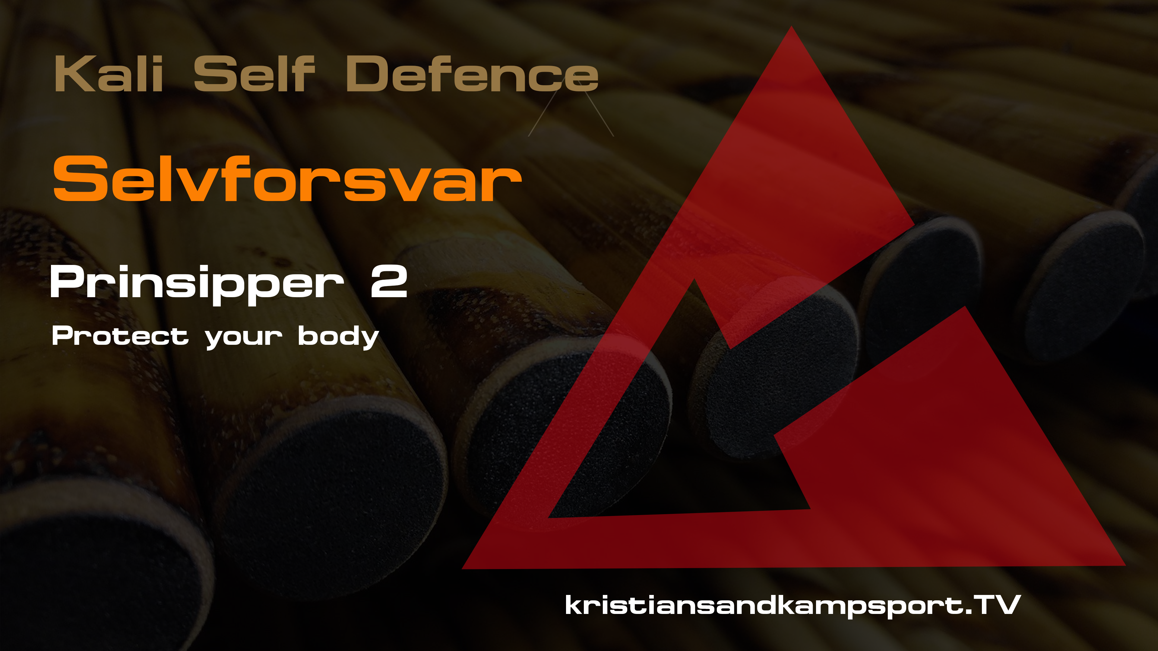 Selvforsvar- Prinsipper 2