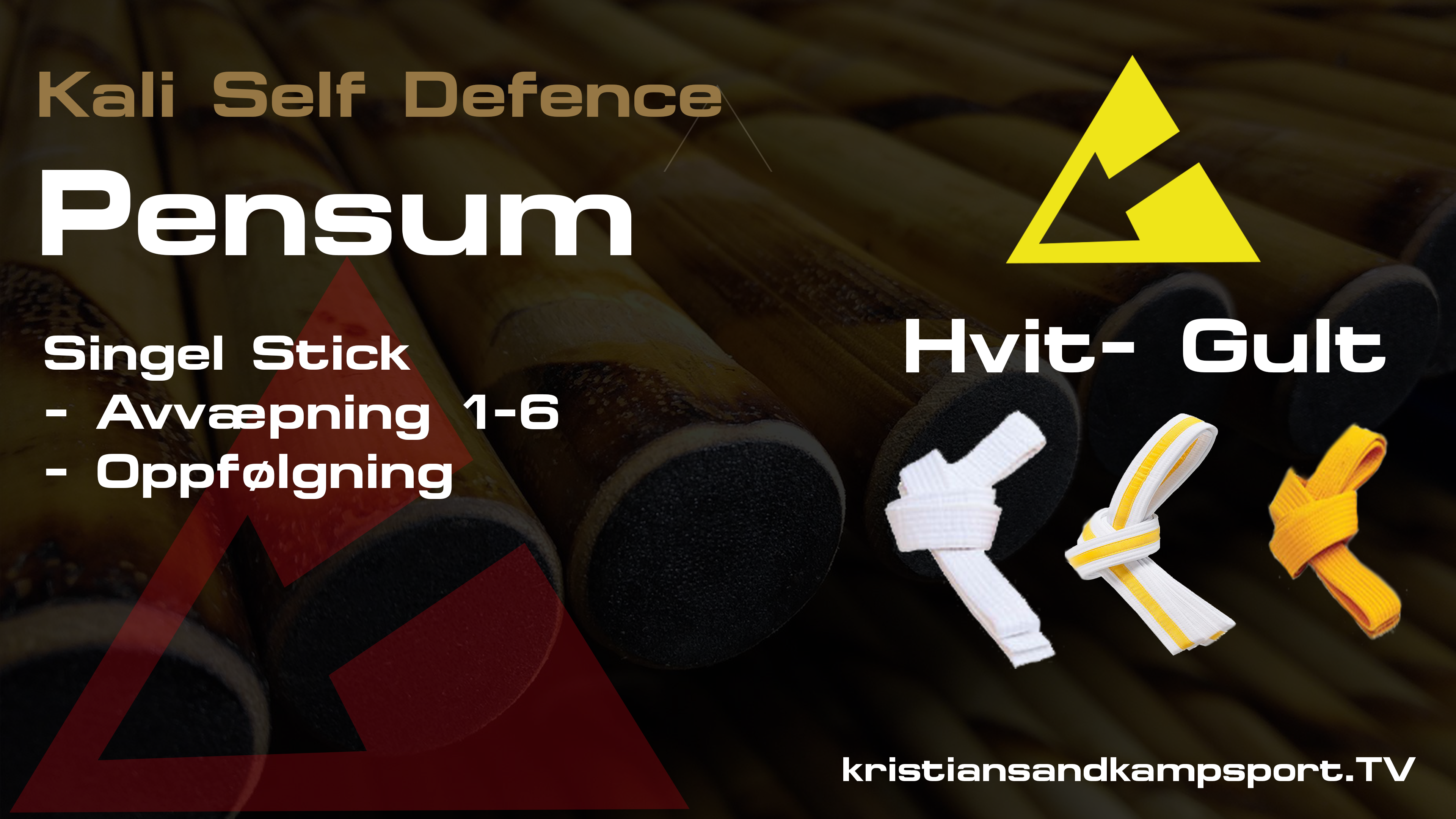 Singelstick avvæpning 1-6