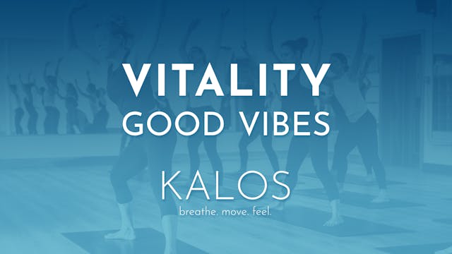 Vitality: Good Vibes