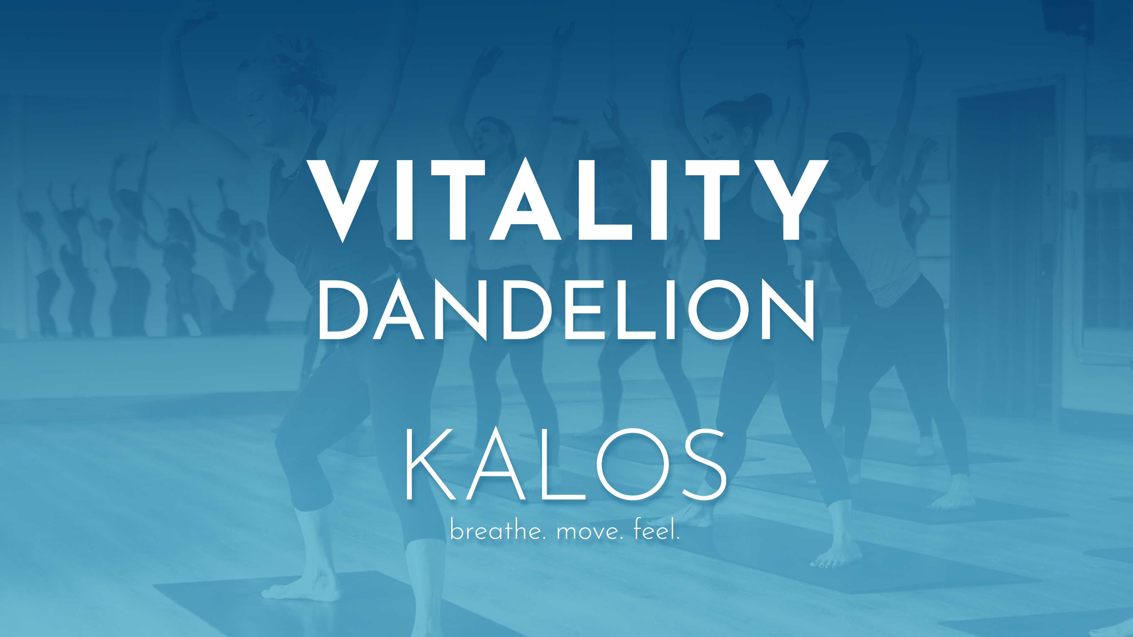 Vitality: Dandelion