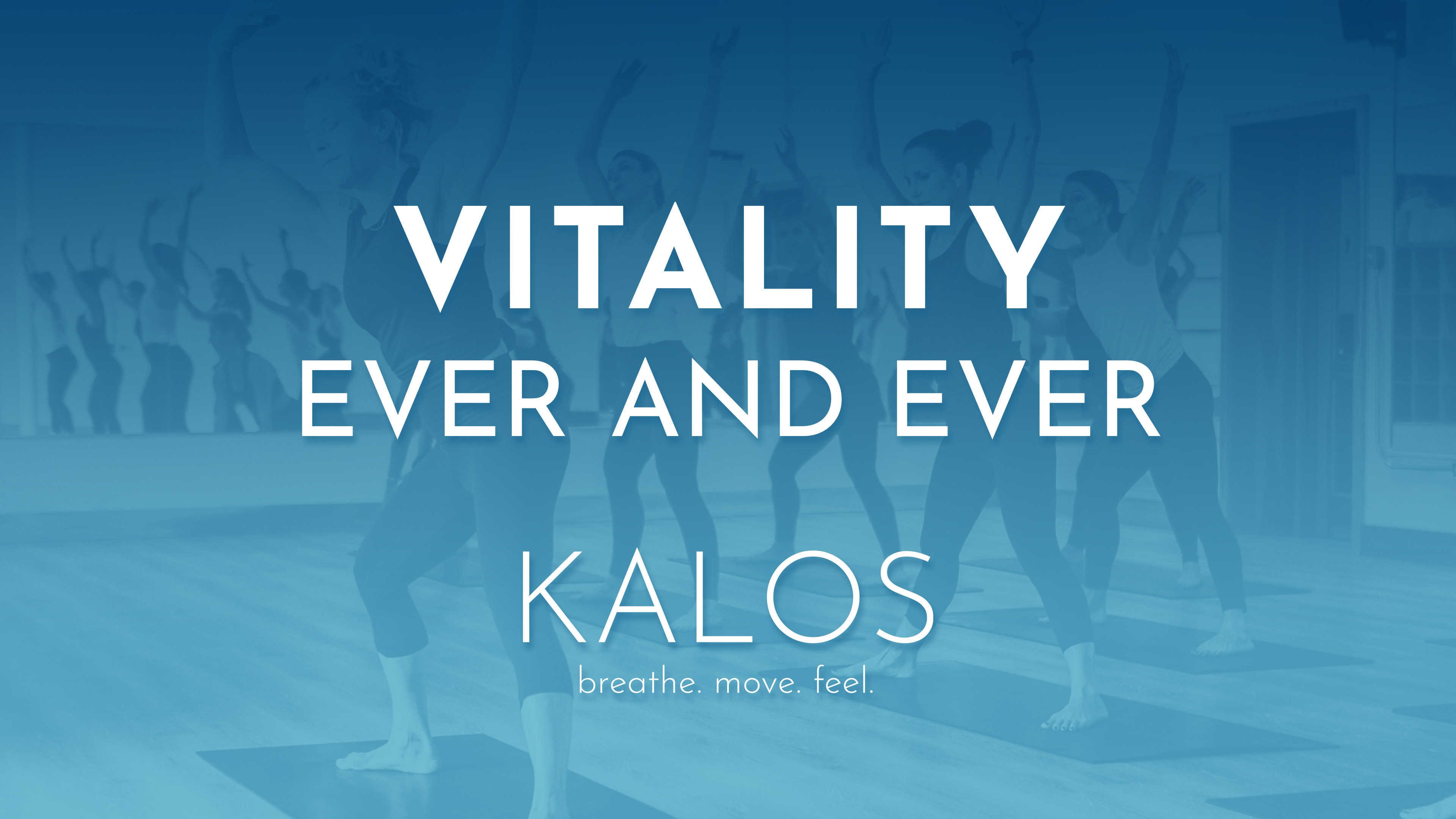 Vitality: Ever And Ever
