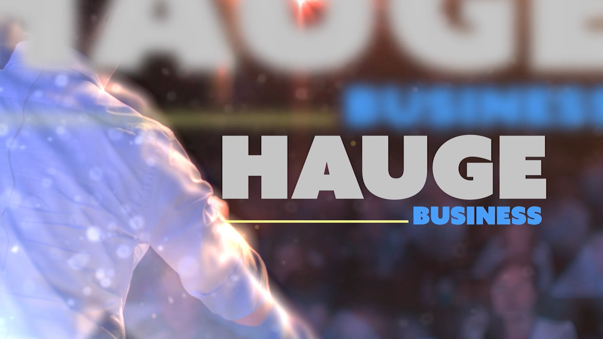 Hauge Business Network