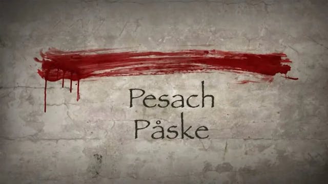 Israel LIVE  ( Ep 08 - 23 )  | Pesach...