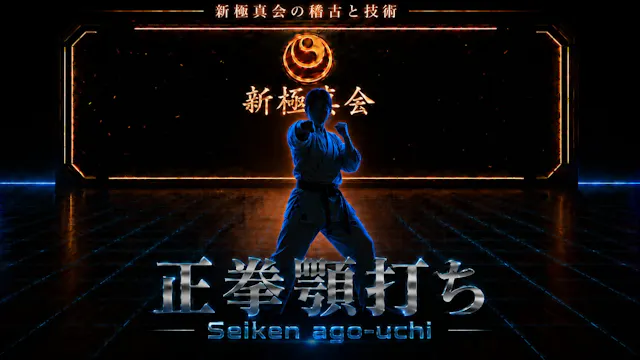 【BASIC】Seiken ago uchi