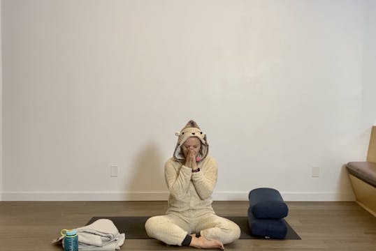 50 Min Meditate and Restore Studio Se...
