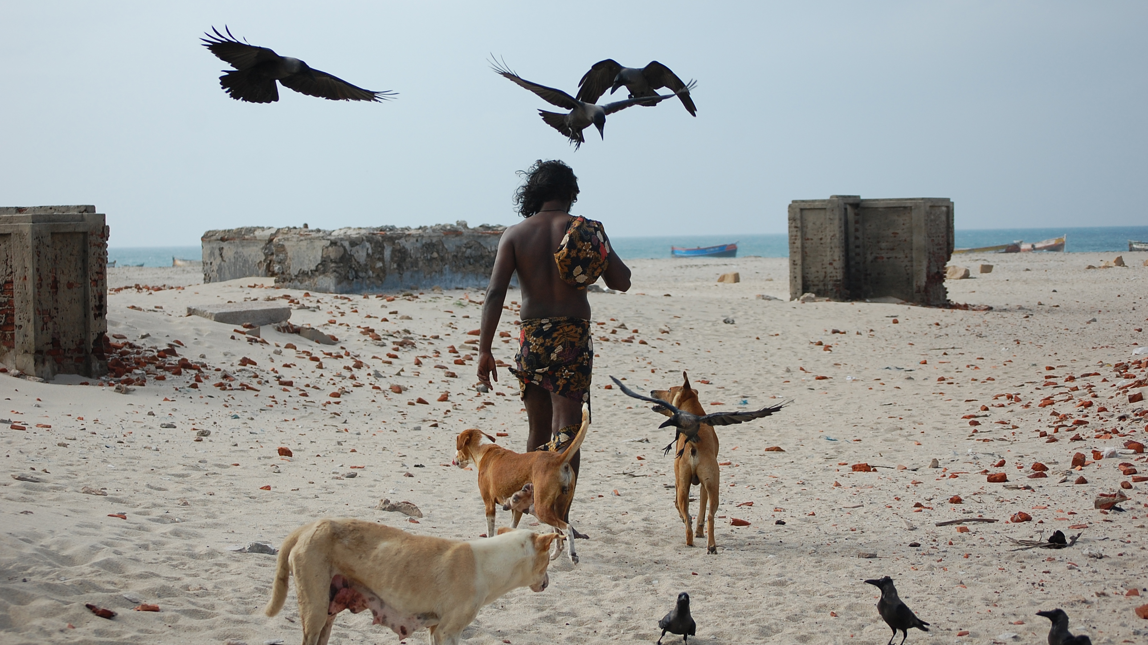 Sengadal, the Dead Sea / DocuFiction Feature