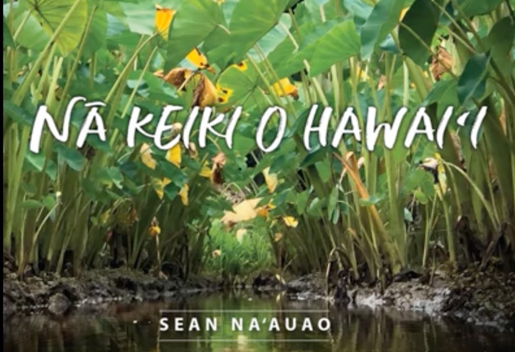 ’Auana Hula - Naue Ana Lā O Hōpoe E（フラサンプルのみ）