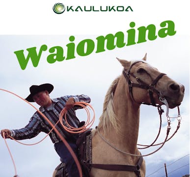 ʻAuana Hula - Waiomina