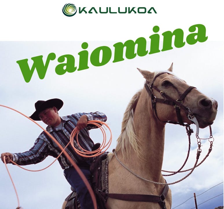 ʻAuana Hula - Waiomina