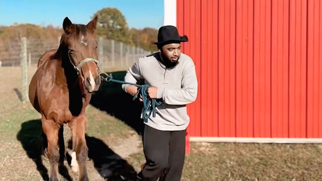 Episode 1. "I want a horse"