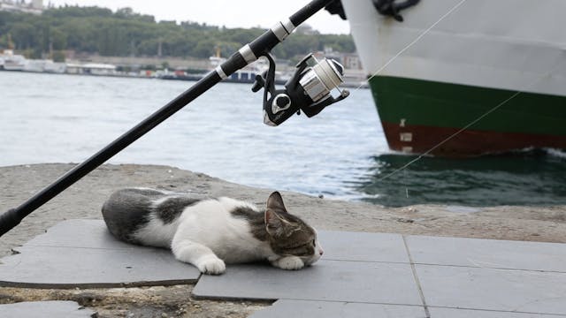 Along the Bosphorus - The Tramp and the Fisherman