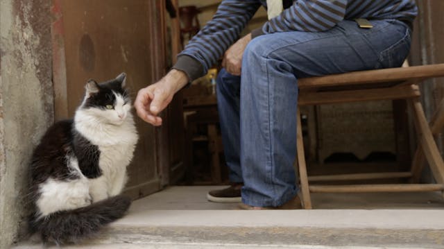 Beyoğlu – Esmer and the Carpenter