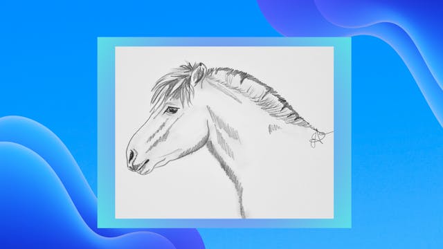 Draw a Beautiful Norweigen Fjord Horse