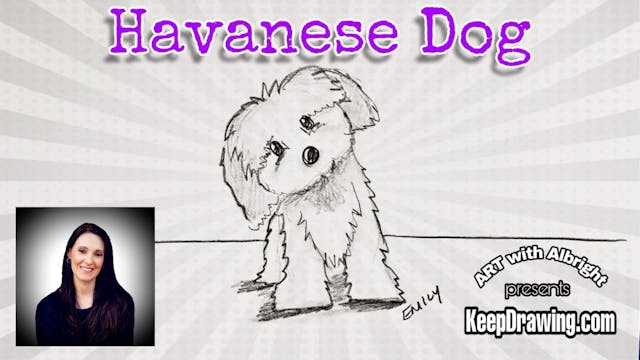 Havanese Dog & Special Guests