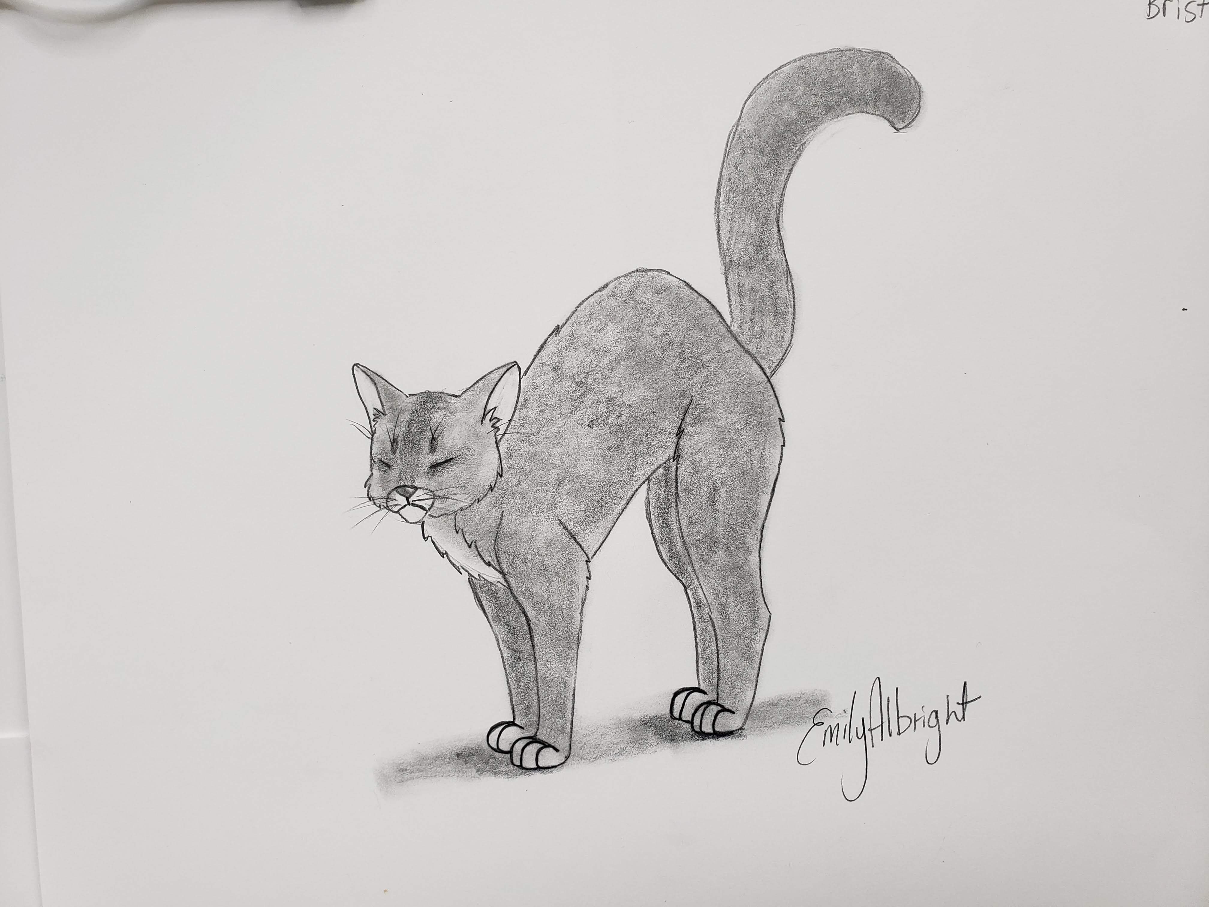 Draw a Warrior Cat - Bristlefrost