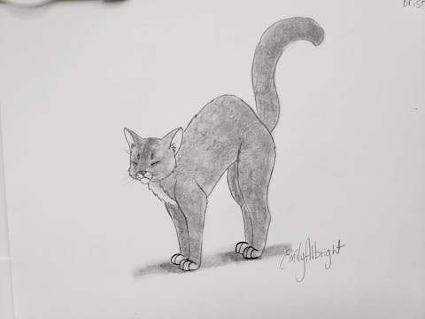 Draw a Warrior Cat - Bristlefrost