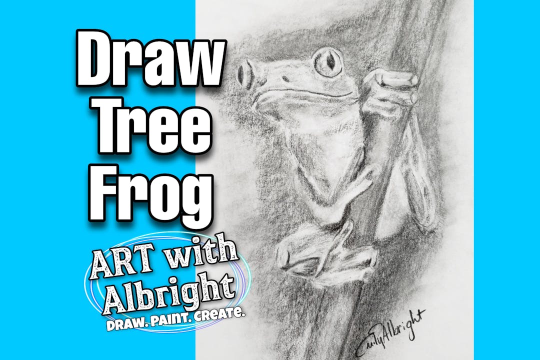 tree frog drawings