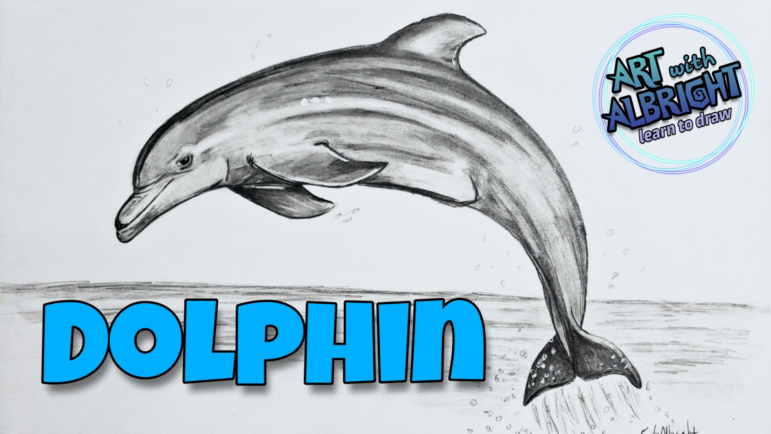 How to draw a dolphin with a pencil step-by-step by ImagiDraw on DeviantArt