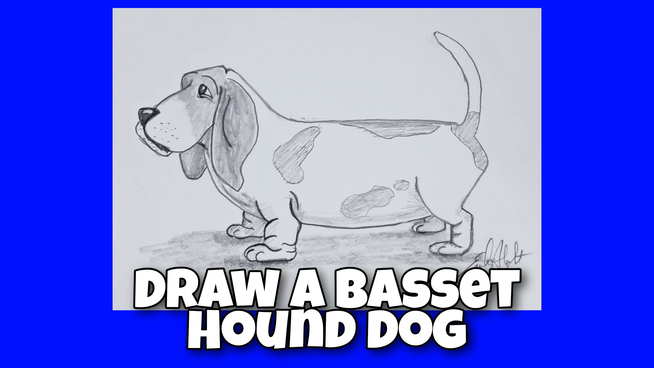 Basset Hound Dog