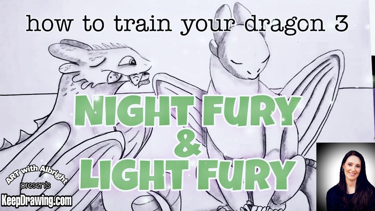 How to Train your Dragon ~ Night Fury & Light Fury