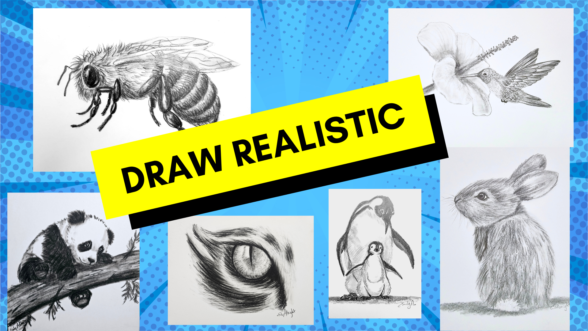 Draw Realistic