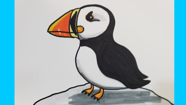 Puffin