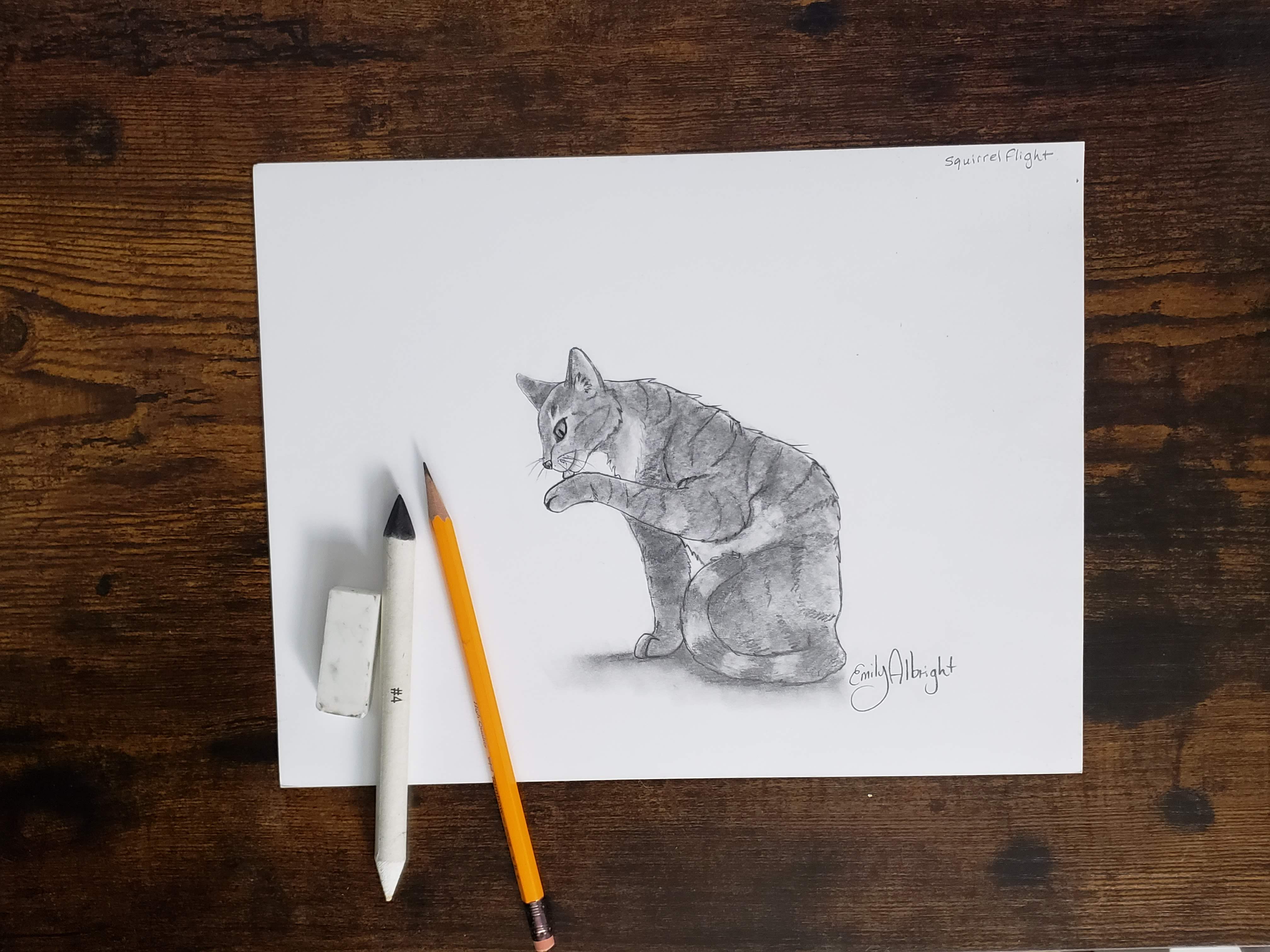 Draw a Warrior Cat Squirrelflight